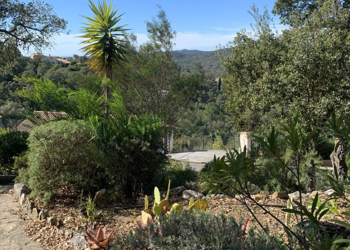 IMG_0999 Mediterraner Garten